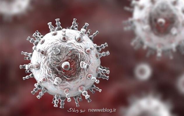 عرضه یک روش سریع برای جداسازی و تولید ویروس HSV-1 نوترکیب، در سلولهای تخمدان همستر چینی